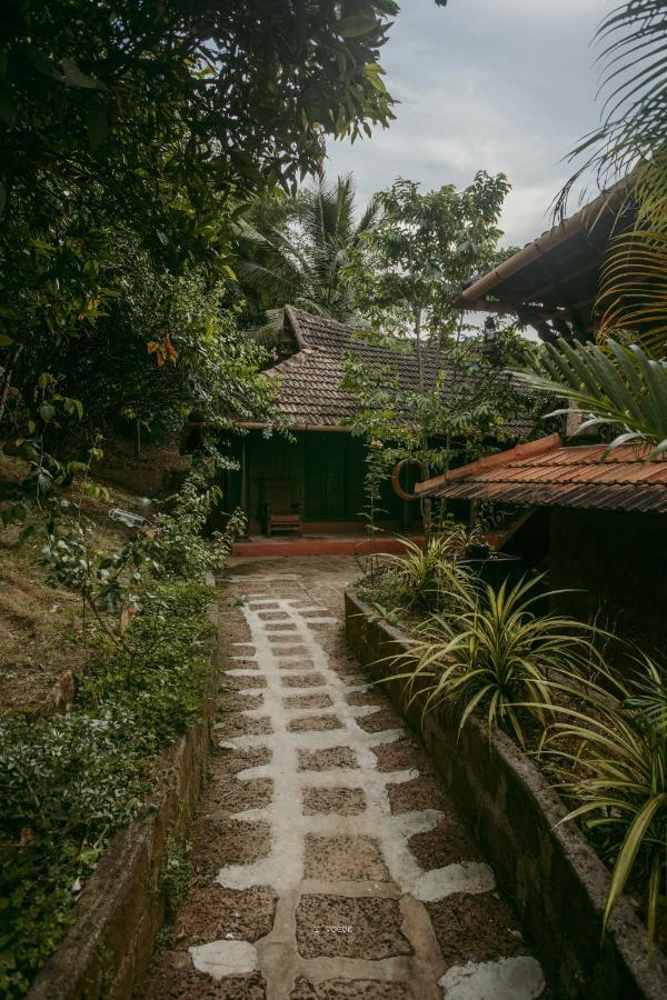 سلطان بتيري Thejas Resorts Wayanad المظهر الخارجي الصورة